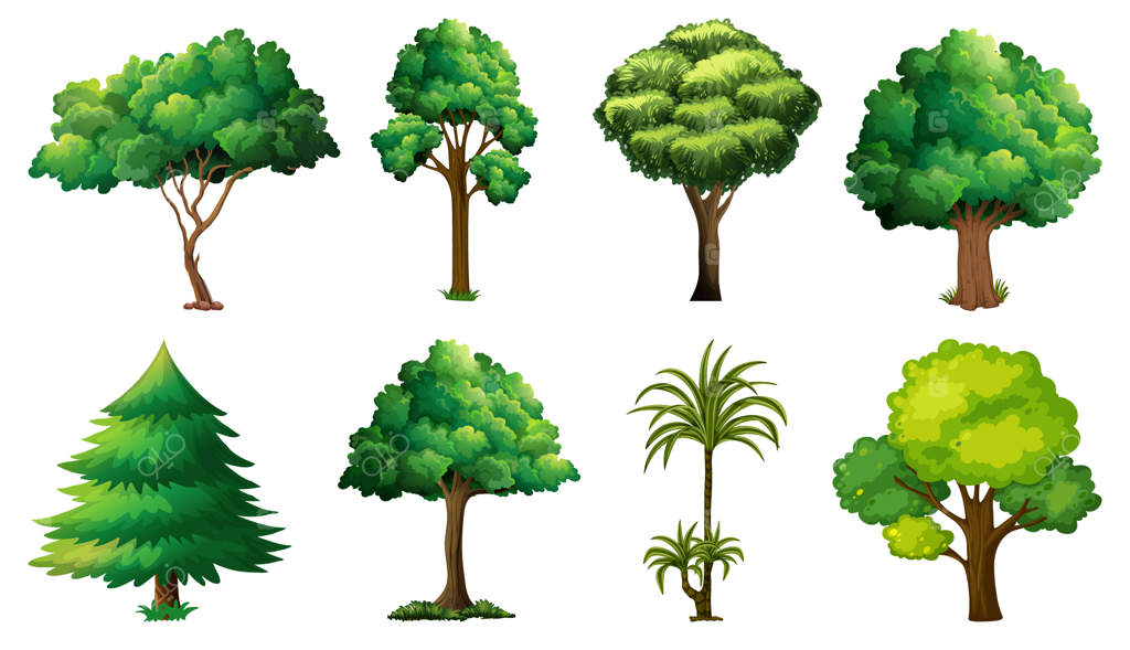 مجموعه‌ای از گیاهان و درختان متنوع
