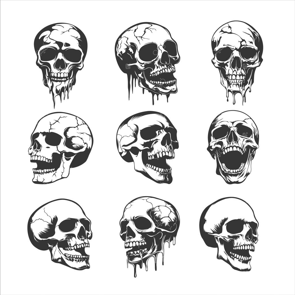 مجموعه‌ای از تصویرسازی‌های وینتیج جمجمه، مناسب برای هالووین و طرح‌های گوتیک