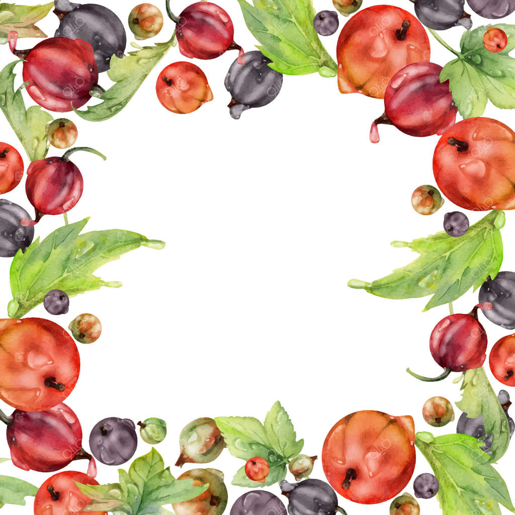 کشک مو، برگ‌ها با شبنم آب، طراحی شده با آبرنگ، دانه‌های گاردن کسایه پراکنده. قاب مربعی مجزا. مرباهای خانگی، منسوجات، فروشگاه مواد غذایی تازه، کارت‌های دستور پخت وگان