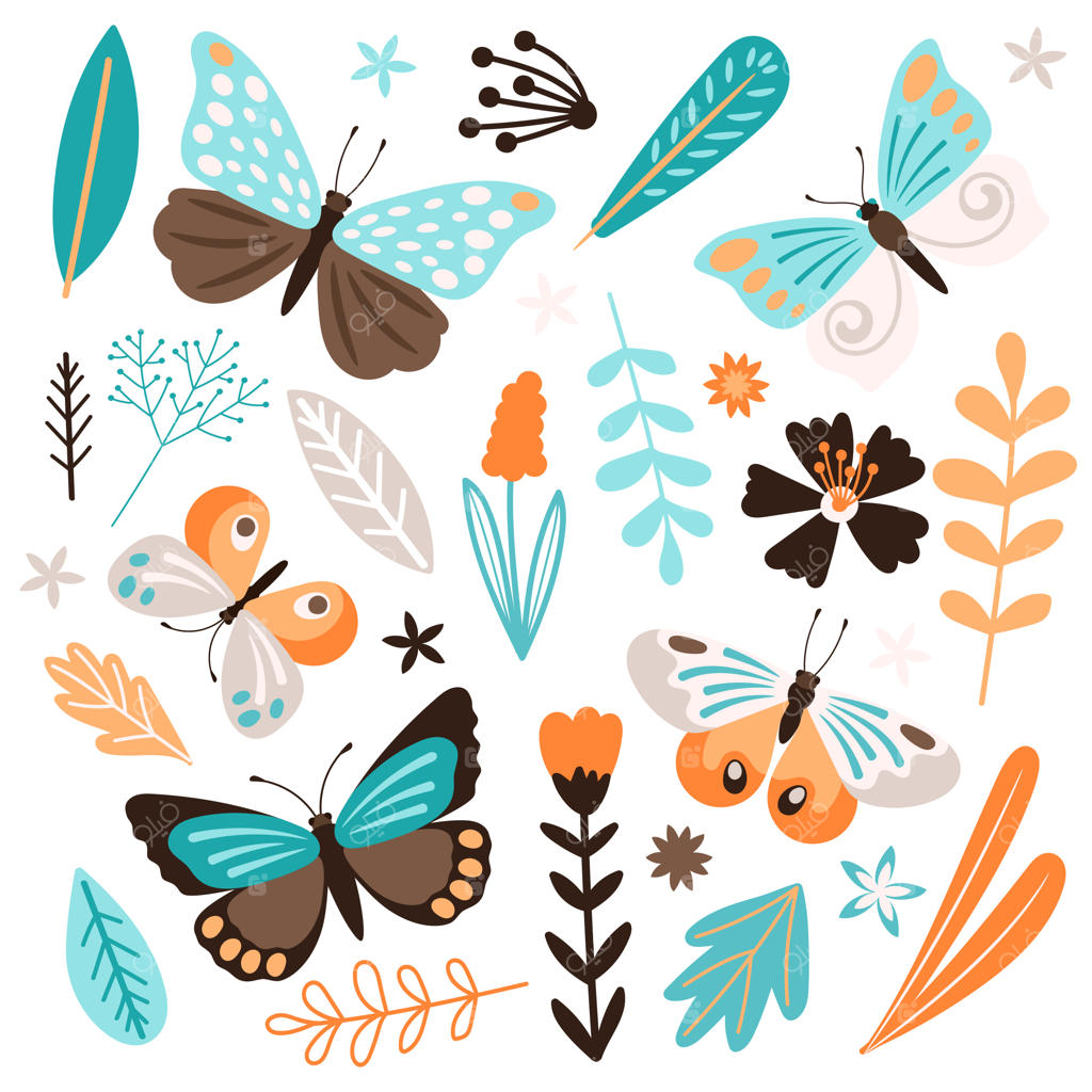 پروانه‌ها و المان‌های گلی در پس‌زمینه سفید