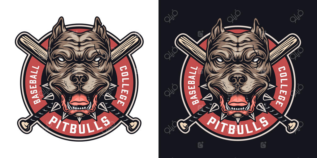 نشان رنگارنگ تیم بیسبال