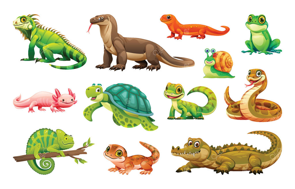 مجموعه‌ای از خزندگان مختلف شامل ایگوانا، مار و لاک‌پشت. تصویرسازی کارتونی