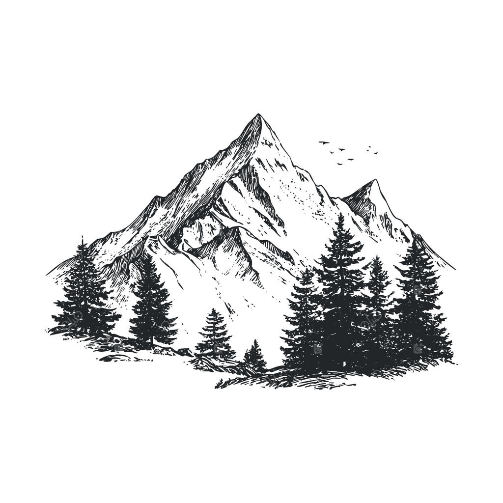 منظره کوهستانی با درختان کاج در محیطی آرام و طبیعی