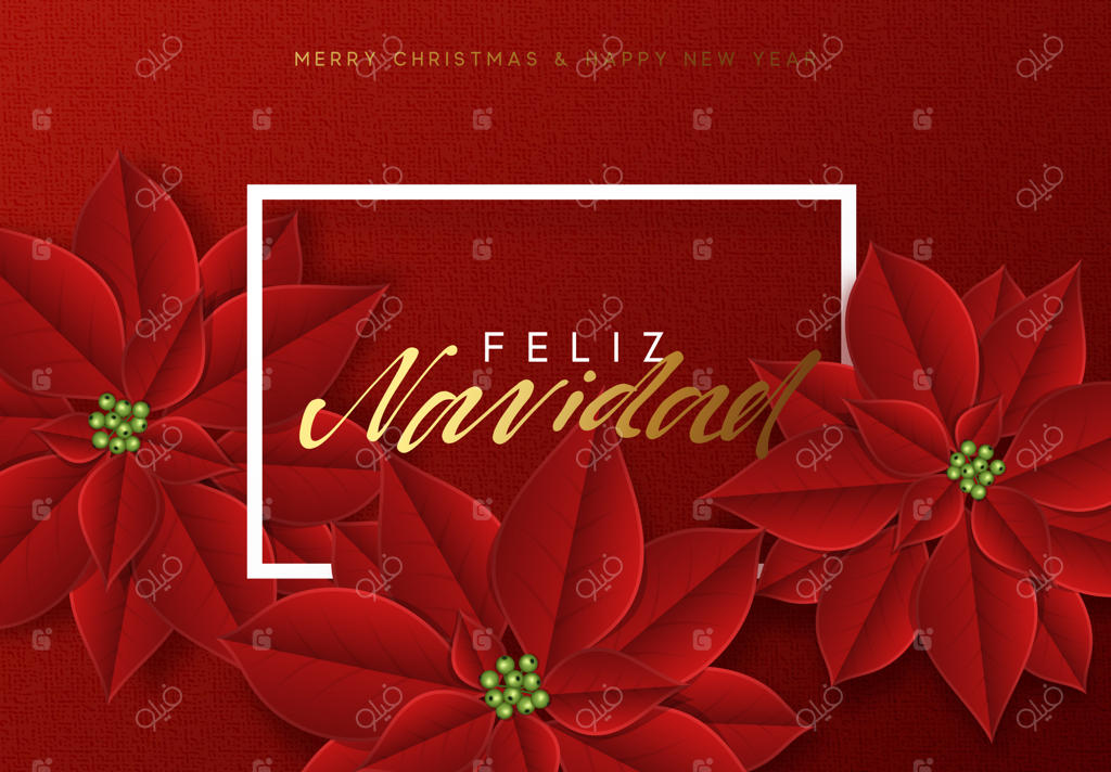 کریسمس مبارک، پس‌زمینه‌ای زیبا با گل‌های بنت قنسول قرمز. متن اسپانیایی: "Feliz Navidad"