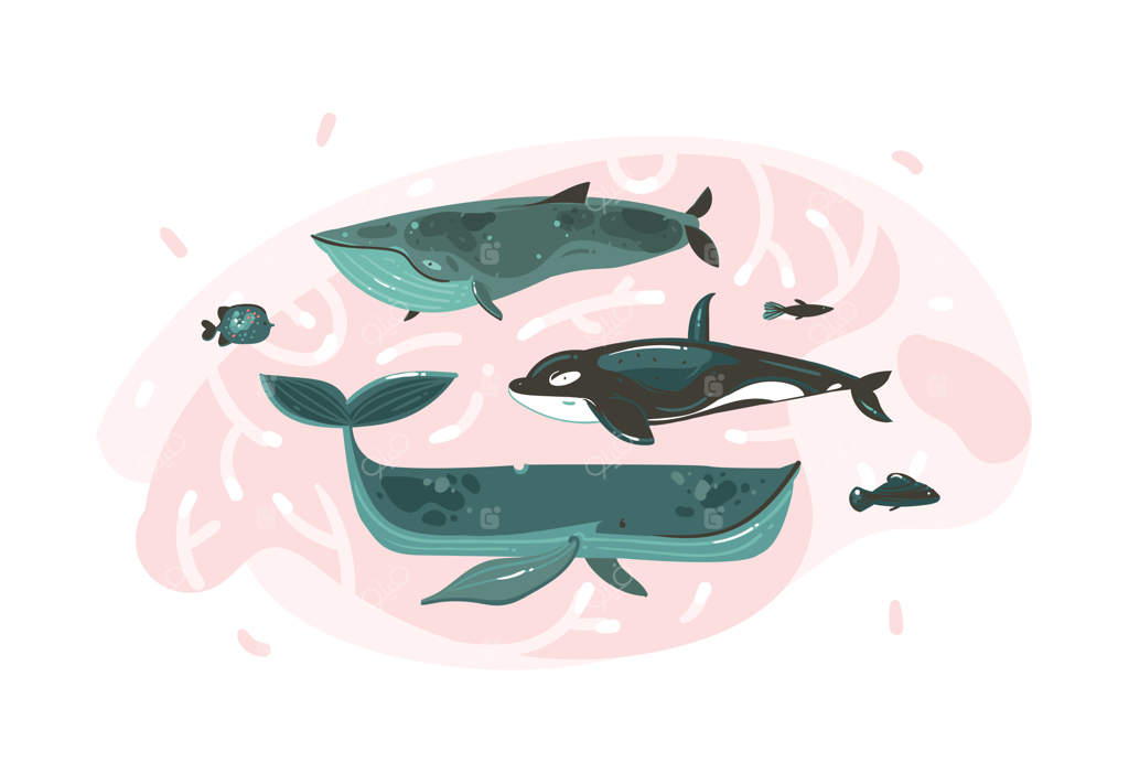 مجموعه‌ای از تصاویر کارتونی دست‌کشیده انتزاعی از دنیای زیر آب در تابستان با صخره‌های مرجانی و شخصیت‌های زیبای نهنگ‌ها روی پس‌زمینه سفید