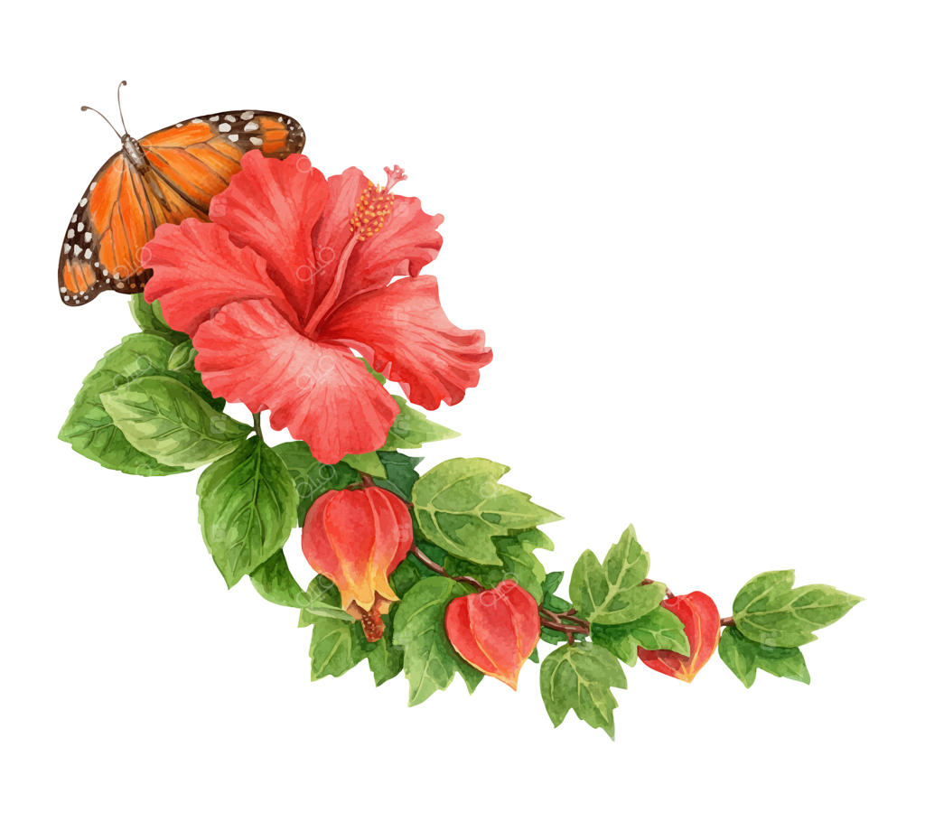 گل ختمی با پروانه پادشاهی و آبوچیرون در یک چیدمان تابستانی. هنر آبرنگ دستی با برگ. عنصر گرافیکی برای کارت تابستانی و طراحی فصل تعطیلات.