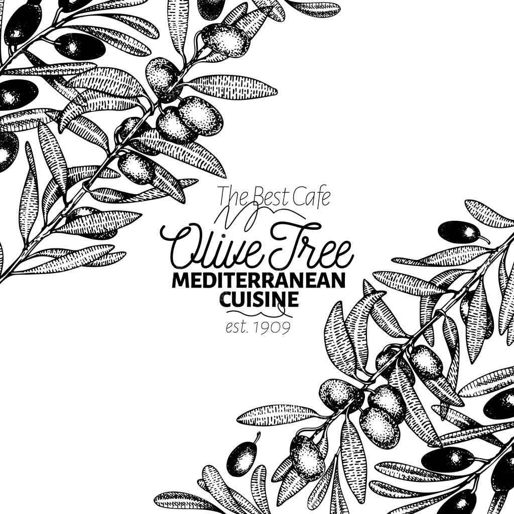 قالب بنر درخت زیتون. تصویرسازی وکتور قدیمی.