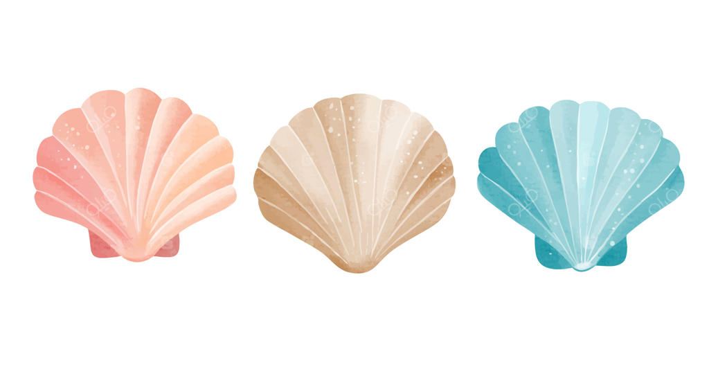 صدف‌های آبرنگی: عناصر آکواریوم و نقاشی گل‌های دریایی. تصویرسازی دنیای زیرآب با دست