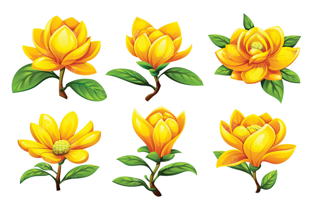 گل‌های ماگنولیای زرد در مراحل مختلف گل‌دهی. تصویر کارتونی