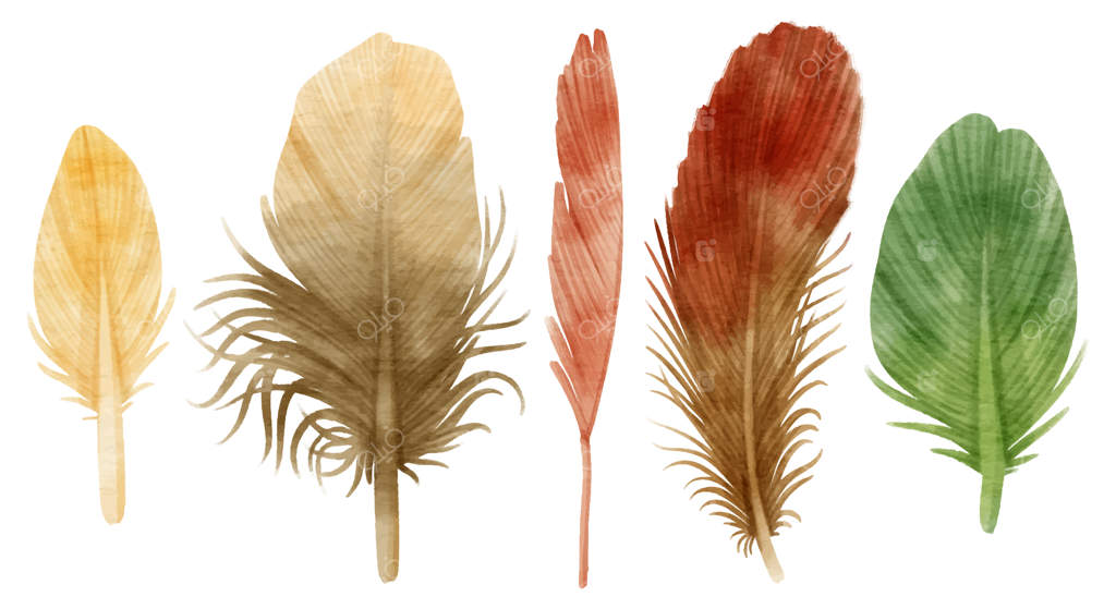 تصویرسازی آبرنگی پرهای رنگارنگ و بامزه برای عناصر تزیینی