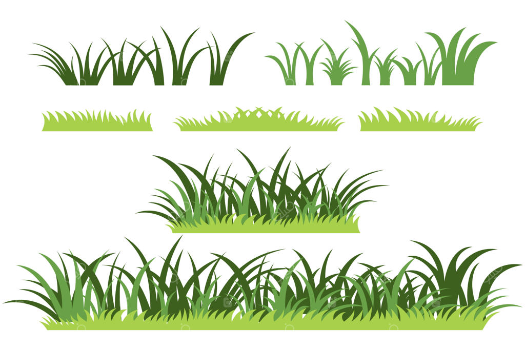 مجموعه بوته‌های چمن با پس‌زمینه ایزوله
