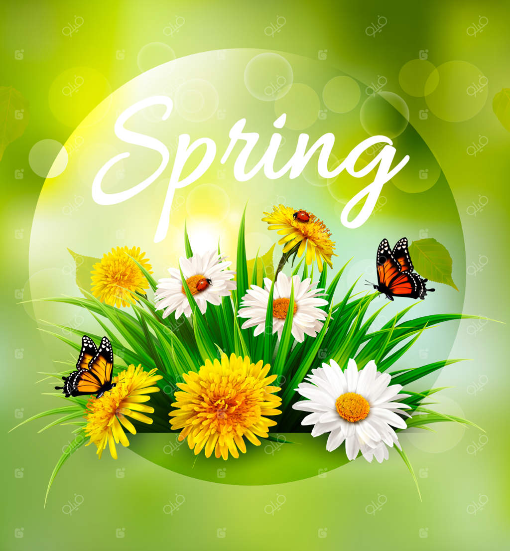 پس‌زمینه‌ بهاری با چمنزار، گل‌ها و پروانه‌ها. وکتور.