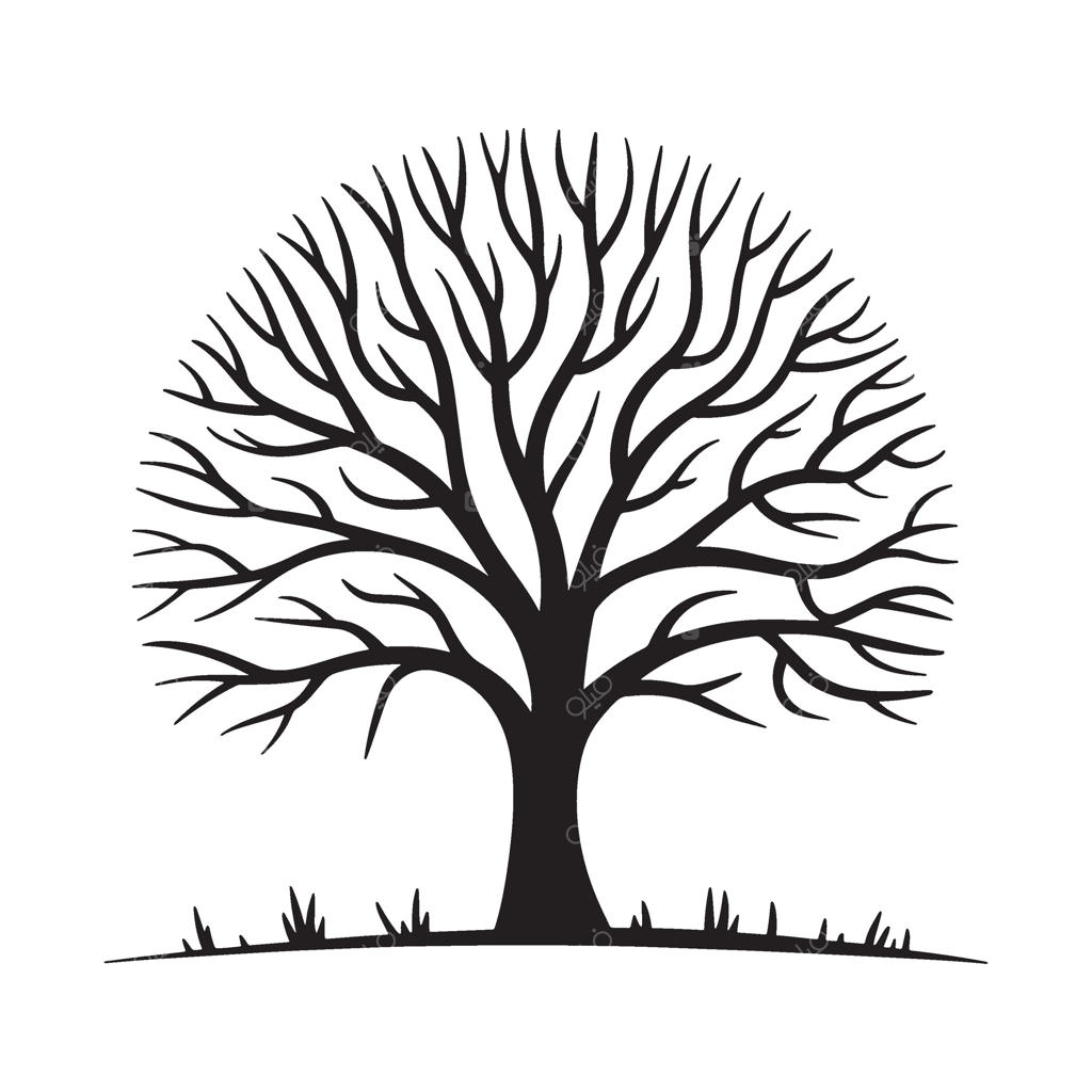 نمای چشمگیر درخت بی‌برگ با شاخه‌های پیچیده در پس‌زمینه سفید، نمادی از زمستان