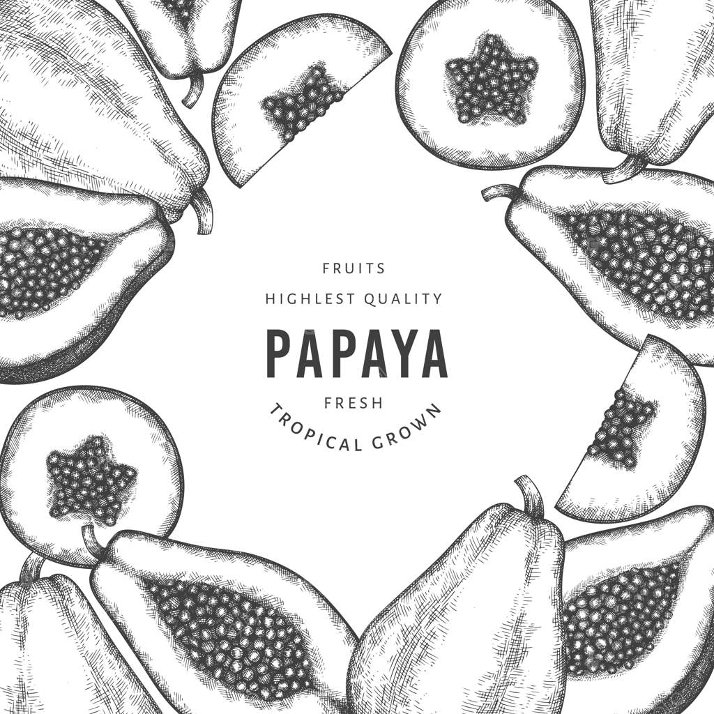 بنر پاپایا با طرح دستی. تصویرسازی میوه تازه و ارگانیک. قالب میوه به سبک قدیمی