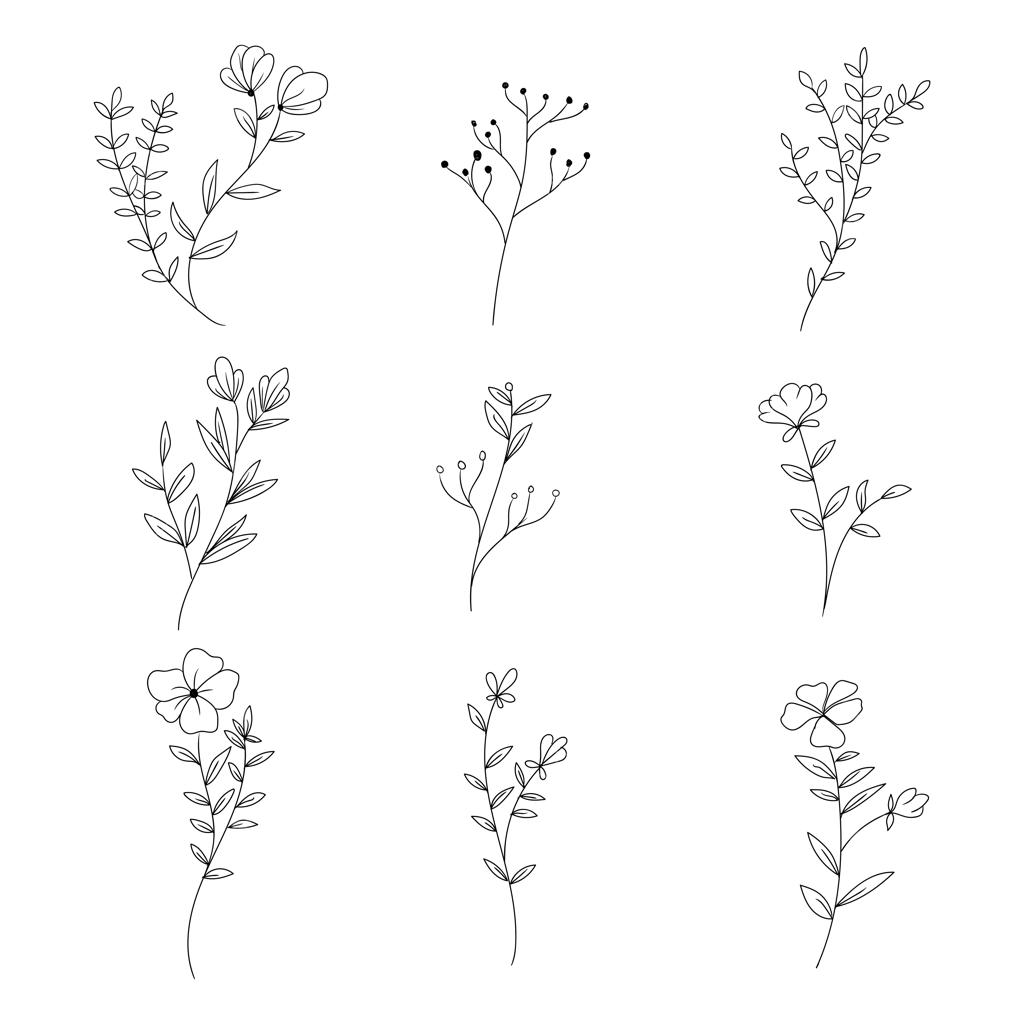 مجموعه طرح‌های خطی و دودل گیاهی از برگ و گل‌های وحشی
