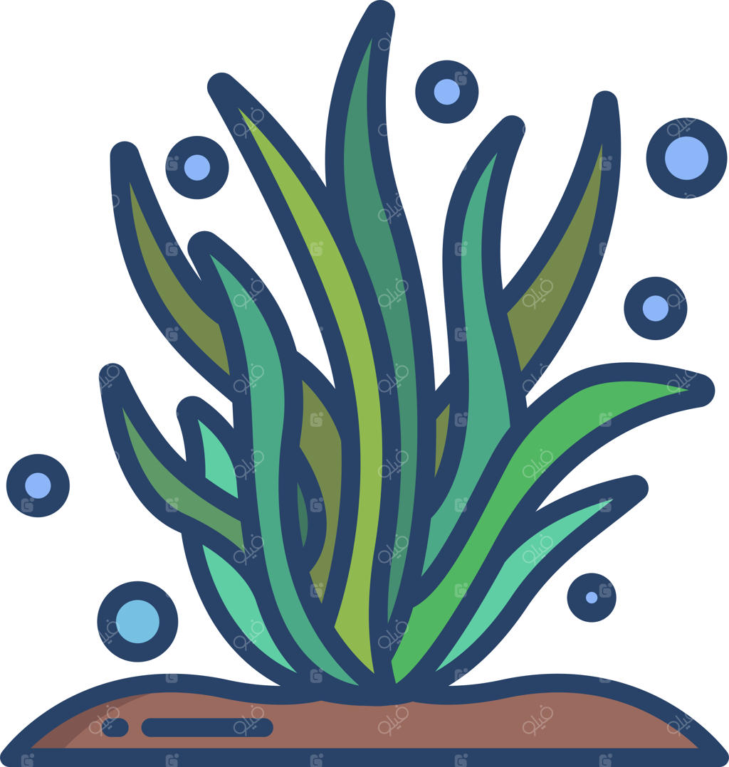 تصویرسازی خطی رنگی جلبک دریایی