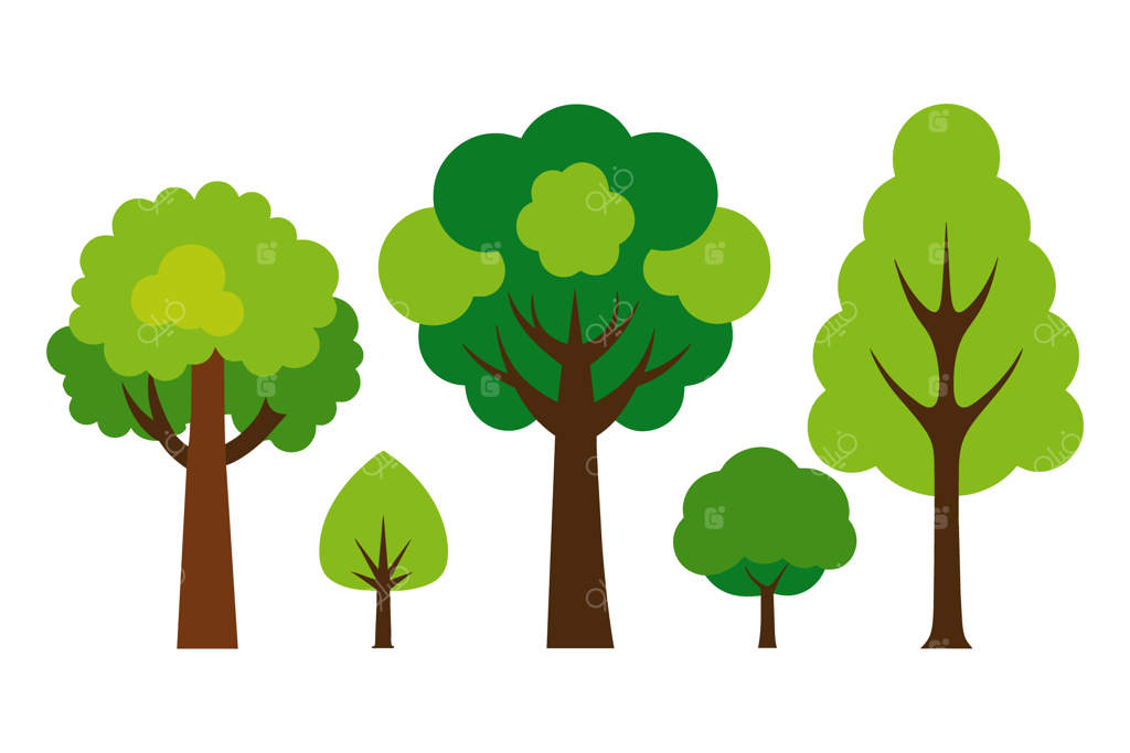 مجموعه‌ای از درختان با رنگ‌ها و شکل‌های متفاوت