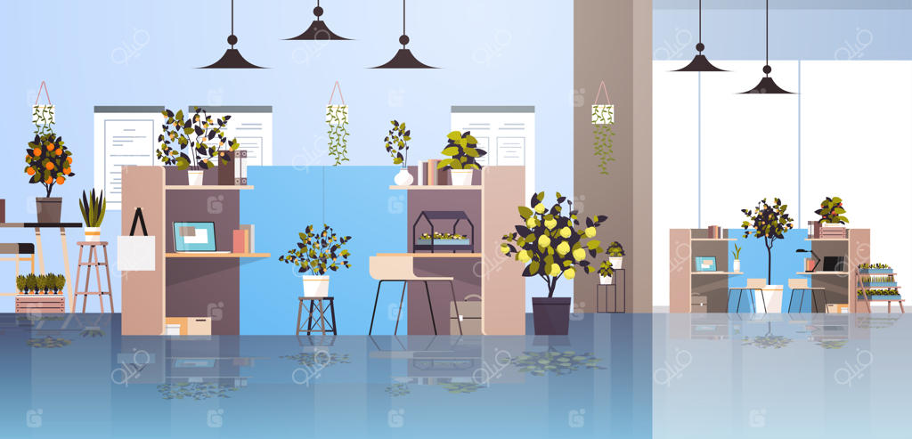 گیاهان آپارتمانی گلخانه‌ای روی قفسه - مفهومی از باغبانی در دکوراسیون داخلی اداری
