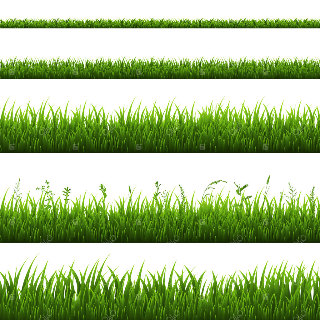 حاشیه چمن جدا شده