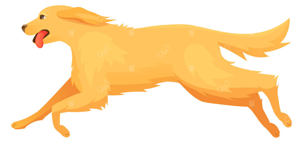 سگی در حال دویدن: حیوانی فعال و پریدن شادی‌بخش حیوان خانگی