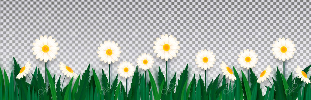 گل‌های بهاری جدا شده: حاشیه‌ای از گل‌های تازه و روشن.