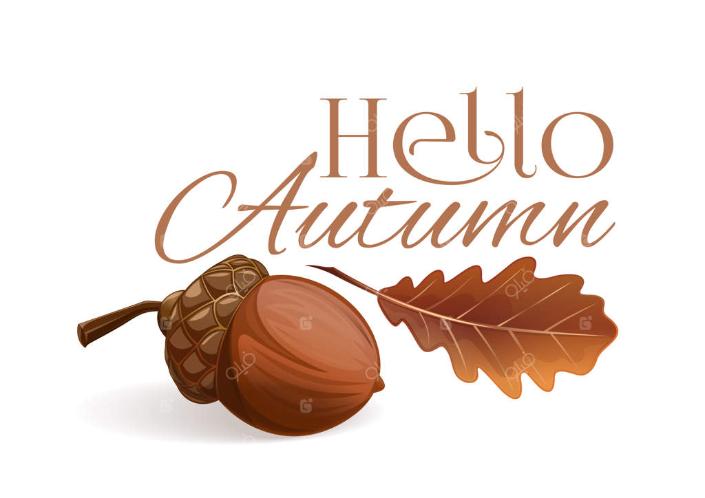 سلام پاییز. کارت نوشته‌ی پاییزی. طراحی پاییزی با بلوط و برگ خشک بلوط. تصویرسازی