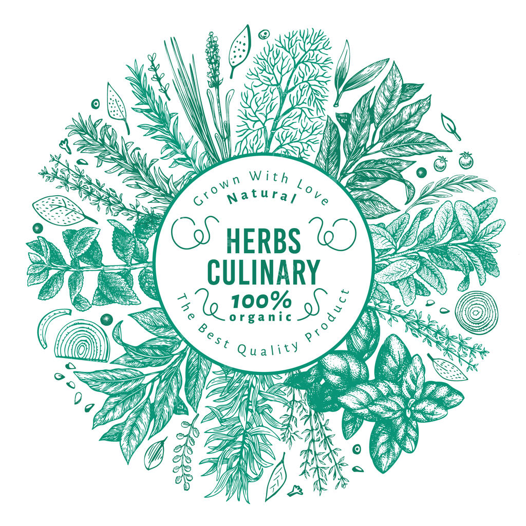 قالب بنر گیاهان دارویی و ادویه‌ها.