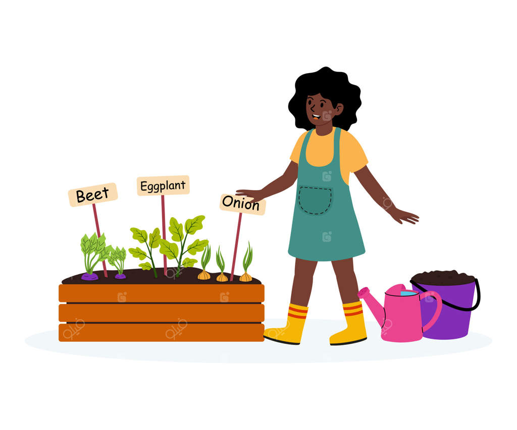 باغبان جوانی که از باغ سبزی با چغندر، بادمجان و پیاز مراقبت می‌کند