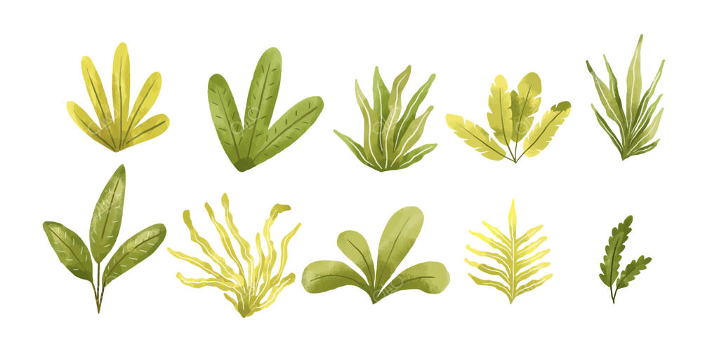 عناصر آبرنگی و طراحی دستی طبیعت؛ منظره ایزوله