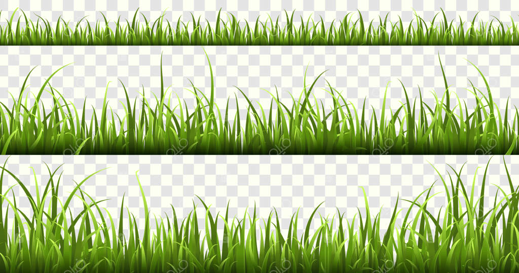 مرزهای چمن سبز: پانورامای سبز دشت تابستانی، عناصر طبیعت بهاری، و مجموعه‌ای از چمنزارها و گیاهان