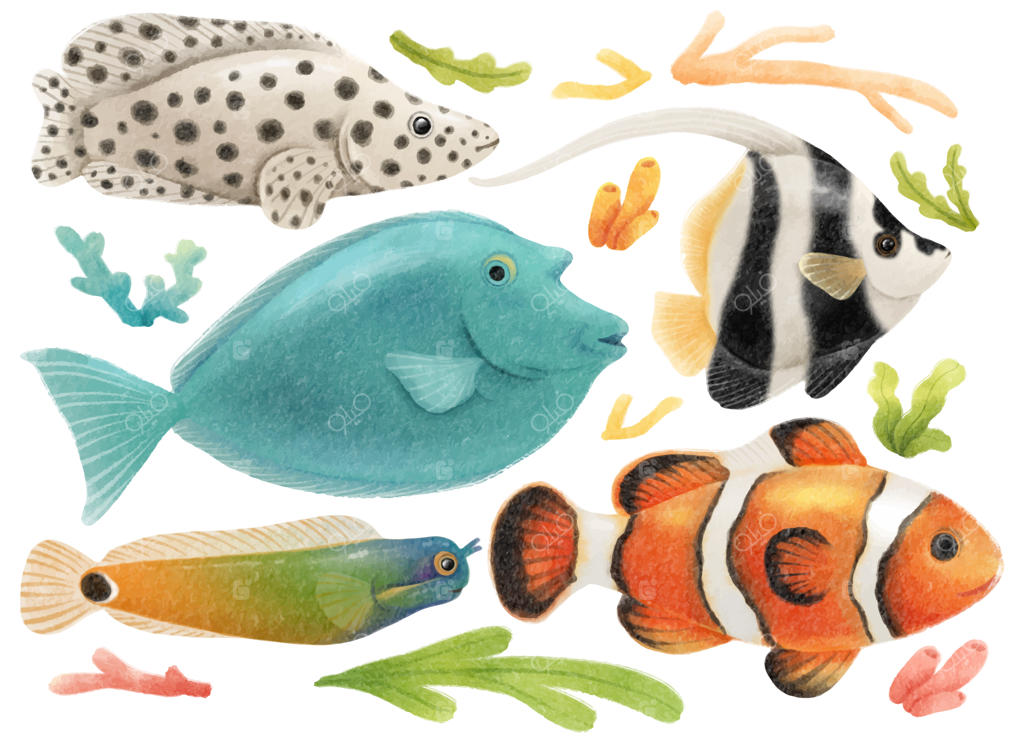مجموعه‌ای از ماهی‌های دریایی، نقاشی شده با آبرنگ