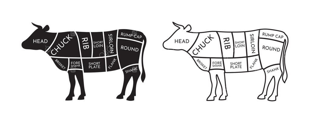 تصاویر نمودار قطعات گوشت گاو