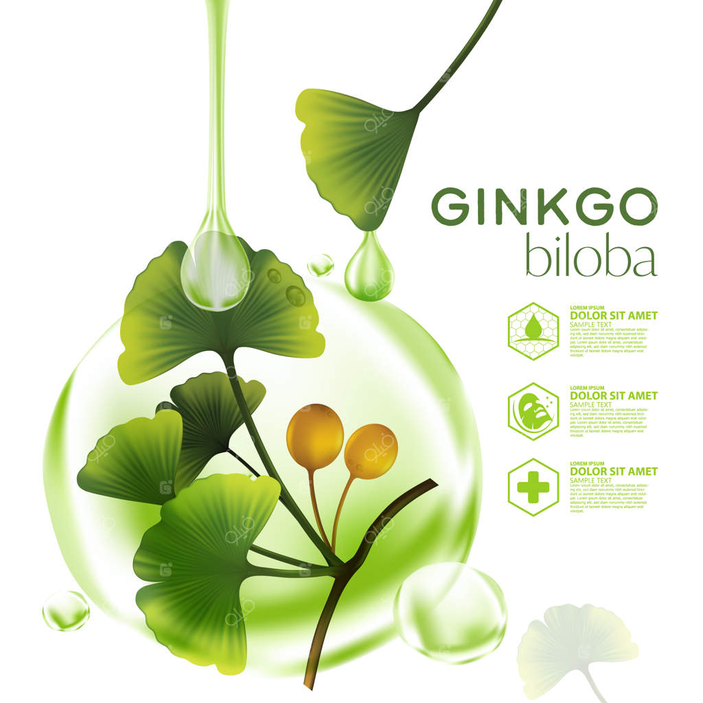 تصویرسازی واقعی لوازم آرایشی با ترکیبات جینکو بیلوبا برای مراقبت از پوست