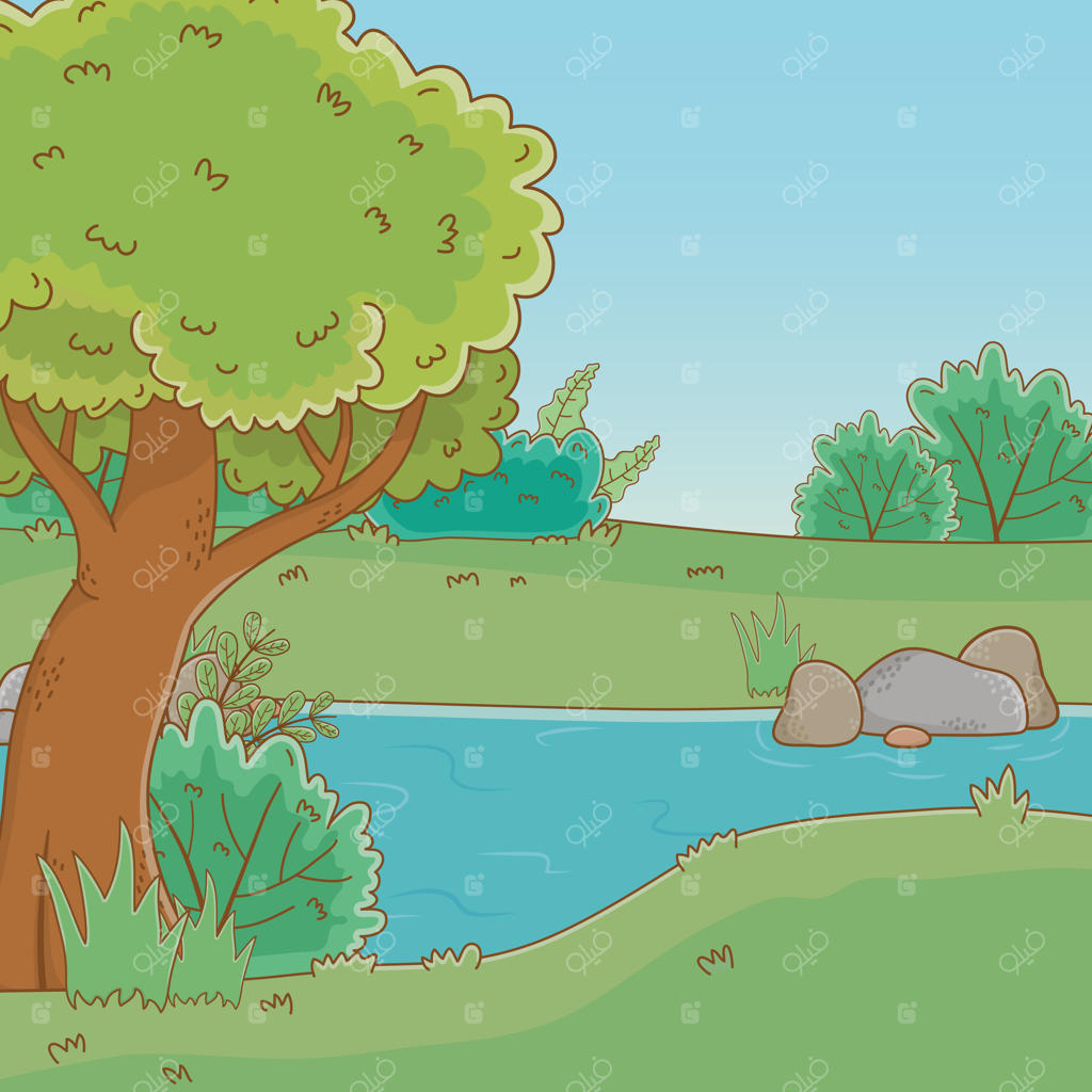 جنگل درختان