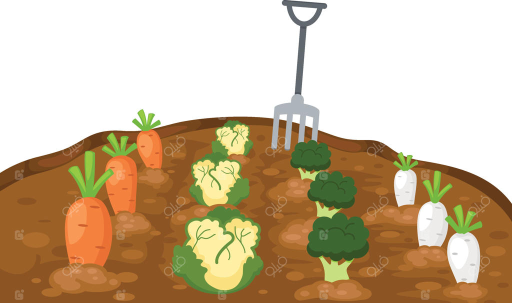 سبزیجات باغ در پس‌زمینه سفید