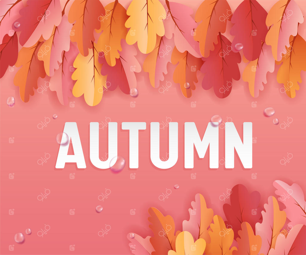 کارت تبریک پاییزی با برگ‌های زیبا و قطرات باران، تزیین پس‌زمینه با هنر کاغذی، تصویرسازی پاییزی برای بنر وب، قالب، کاغذ دیواری، جلد و دعوت‌نامه به صورت وکتور