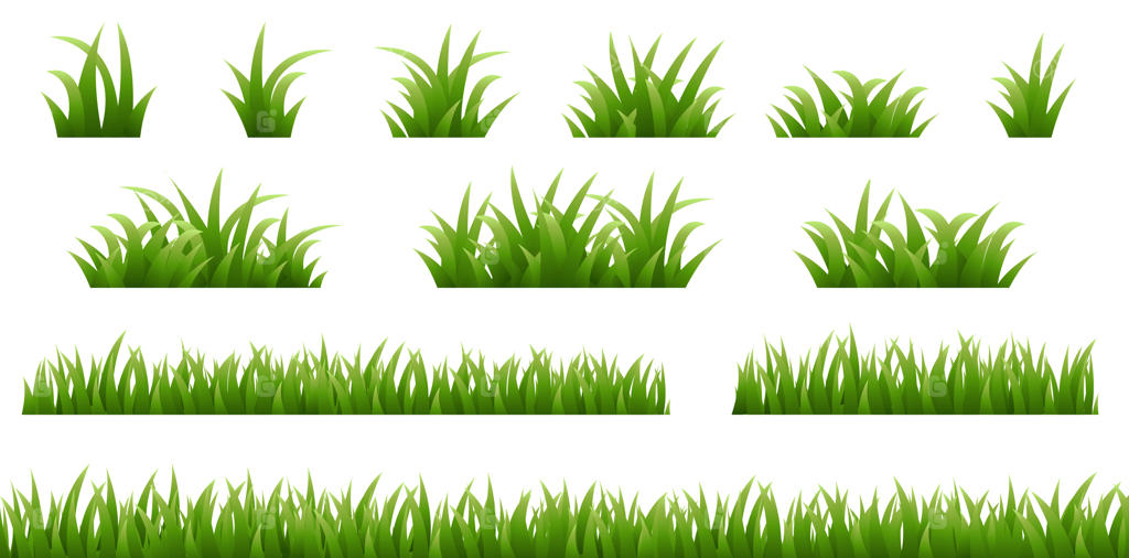 مجموعه حاشیه‌های چمن جدا شده در پس‌زمینه سفید