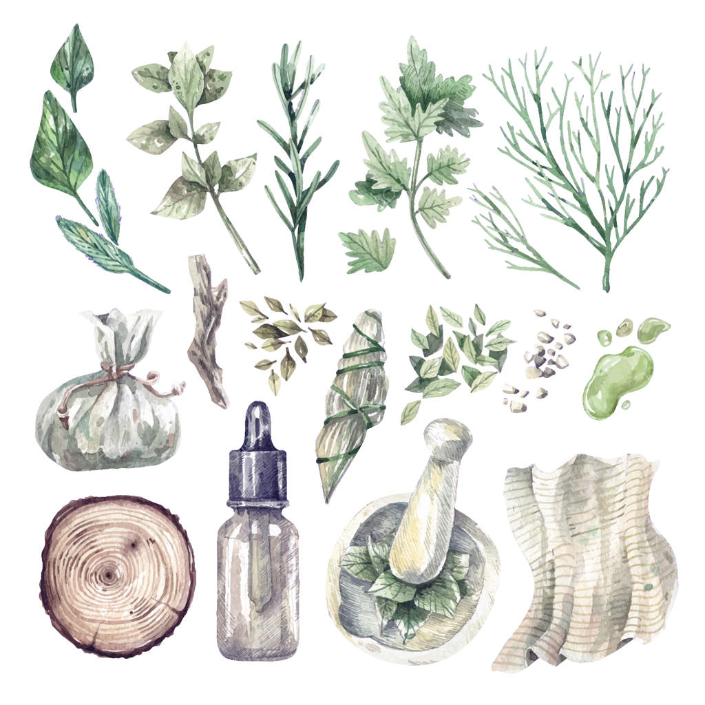 مجموعه بزرگ آبرنگی از گیاهان دارویی و بطری‌های پزشکی، روغن‌ها. نقاشی‌های دستی از گیاهان دارویی ارگانیک و ظروف نگهداری. سلامتی و مراقبت از خود