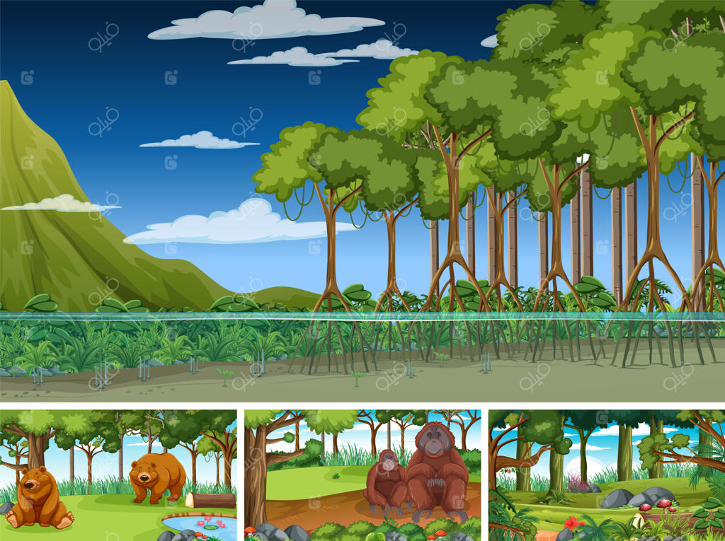 صحنه‌هایی با حیوانات وحشی در جنگل