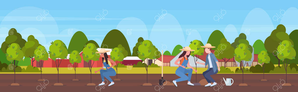 کشاورزان در حال کاشت نهال در باغ: کاشت گیاهان، کار در مزرعه، مفهوم کشاورزی پایدار، منظره روستایی