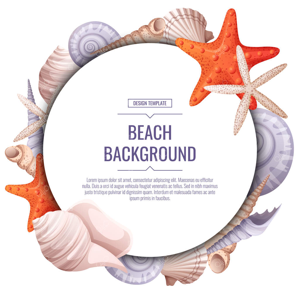 قاب تزئینی با صدف و ستاره دریایی روی زمینه سفید: تاج دایره‌ای با حیوانات دریایی