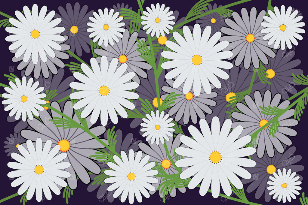 تصویر گل‌های دیزی بر روی پس‌زمینهٔ تیره.