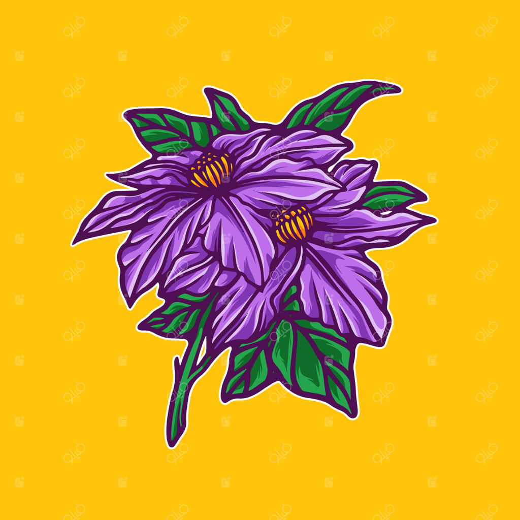 تصویرسازی گل‌های بنفش سلطنتی