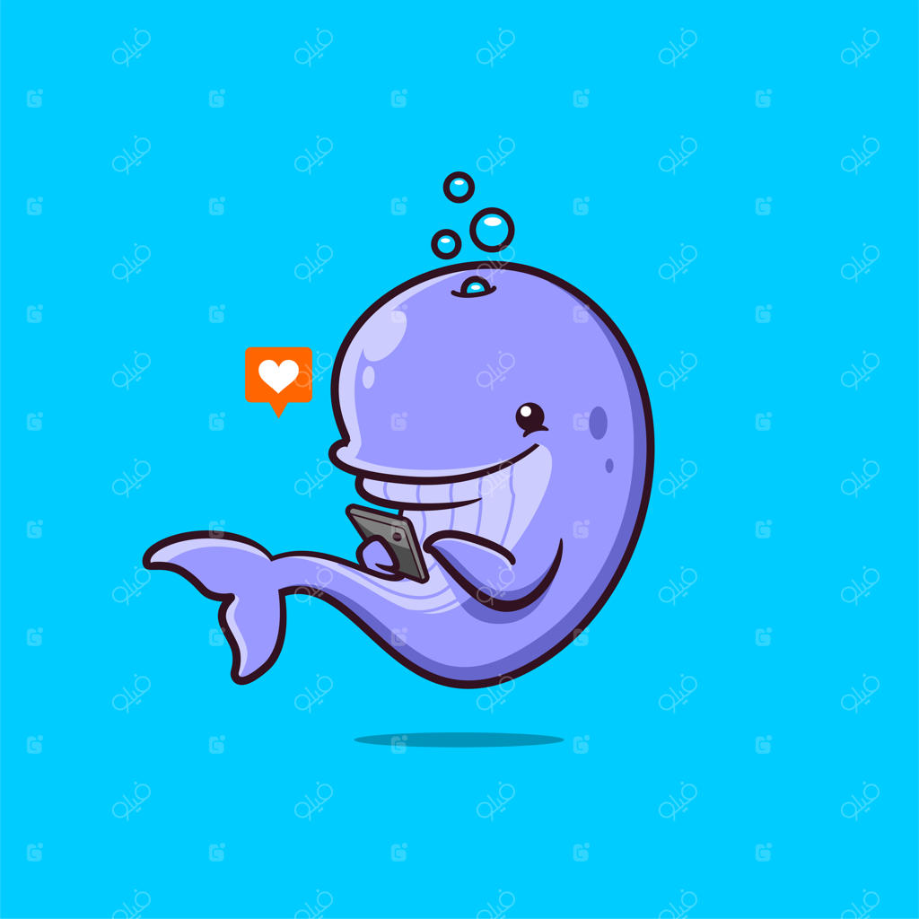 نهنگ‌ها چطور در دریا شبکه‌های اجتماعی دارند؟