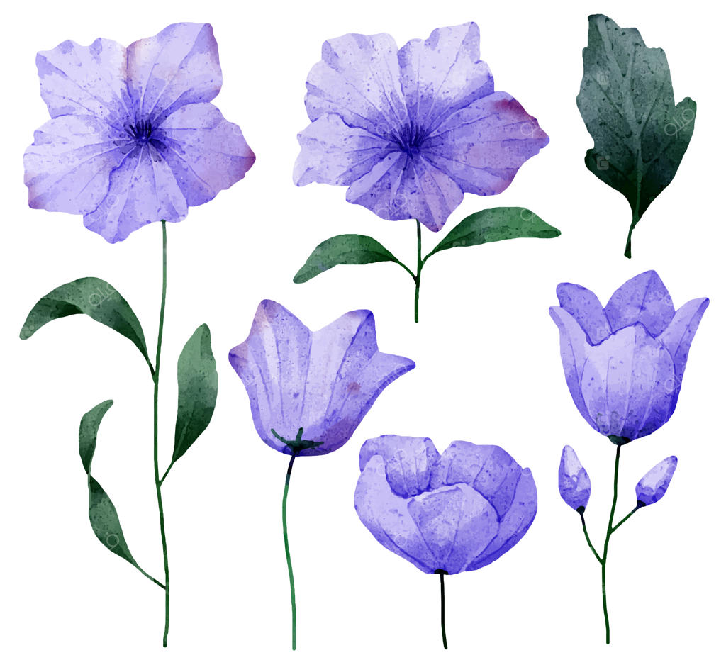 دسته گل زیبا و برگ‌ها برای تزئین به سبک آبرنگی