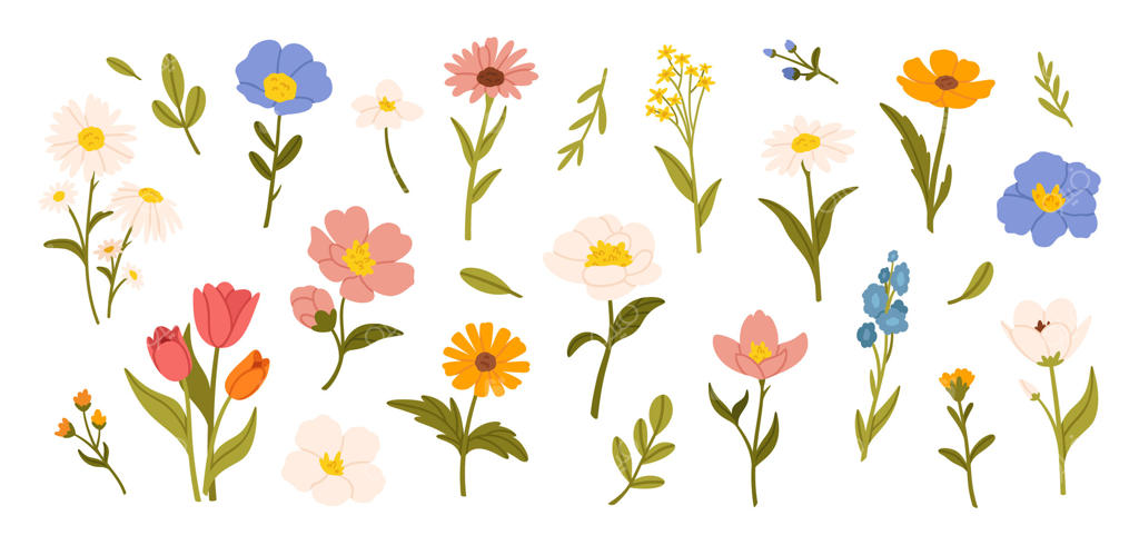 گل‌های بهاری: گل‌های وحشی کارتونی شامل بابونه، لاله و فراموشَم نکن، گل گندم و مریم گلی با برگ‌ها، عناصر گیاه‌شناسی و مجموعه‌ای از شکوفه‌های باغ.