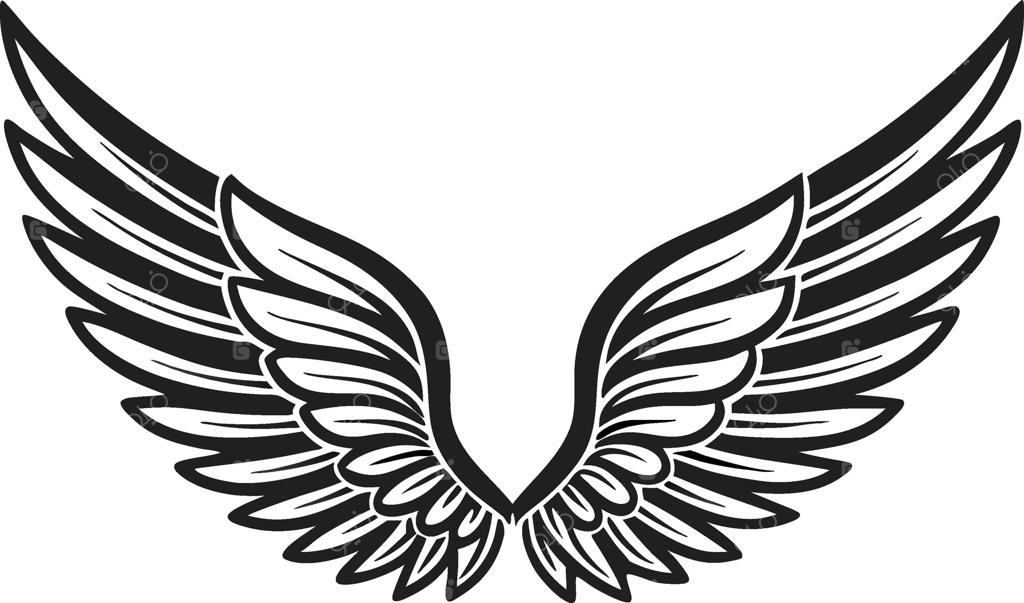 طرح هنری بال‌های فرشته برای طراحی تاتو و پروژه‌های گرافیکی