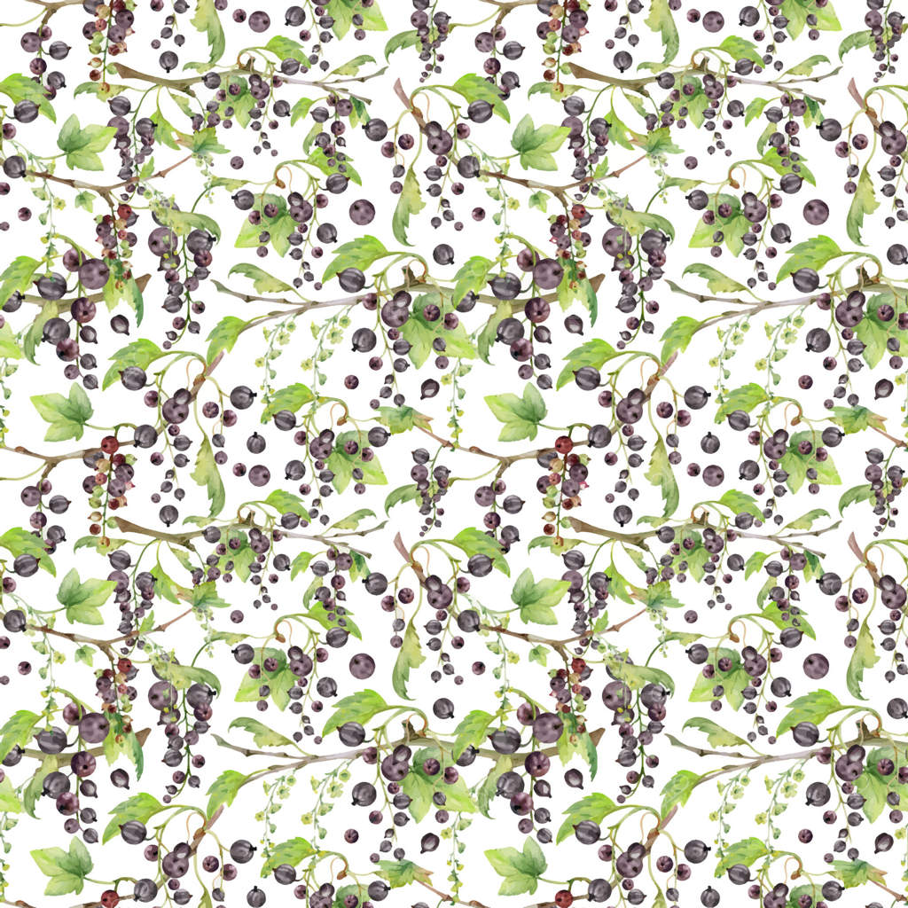 طرح یکپارچه انگور فرنگی با برگ‌های سبز و خوشه‌های بلند گل، طراحی شده با دست در آبرنگ، میوه‌باغی آویزان از شاخه‌ها. مناسب برای نوشیدنی‌های دست‌ساز، خرید روزانه، کاغذدیواری پس‌زمینه، و بسته‌بندی.
