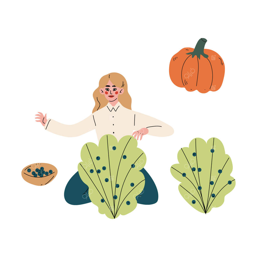 دختر کشاورز در حال چیدن توت از بوته، تصویر زن جوان در حال کار در باغ