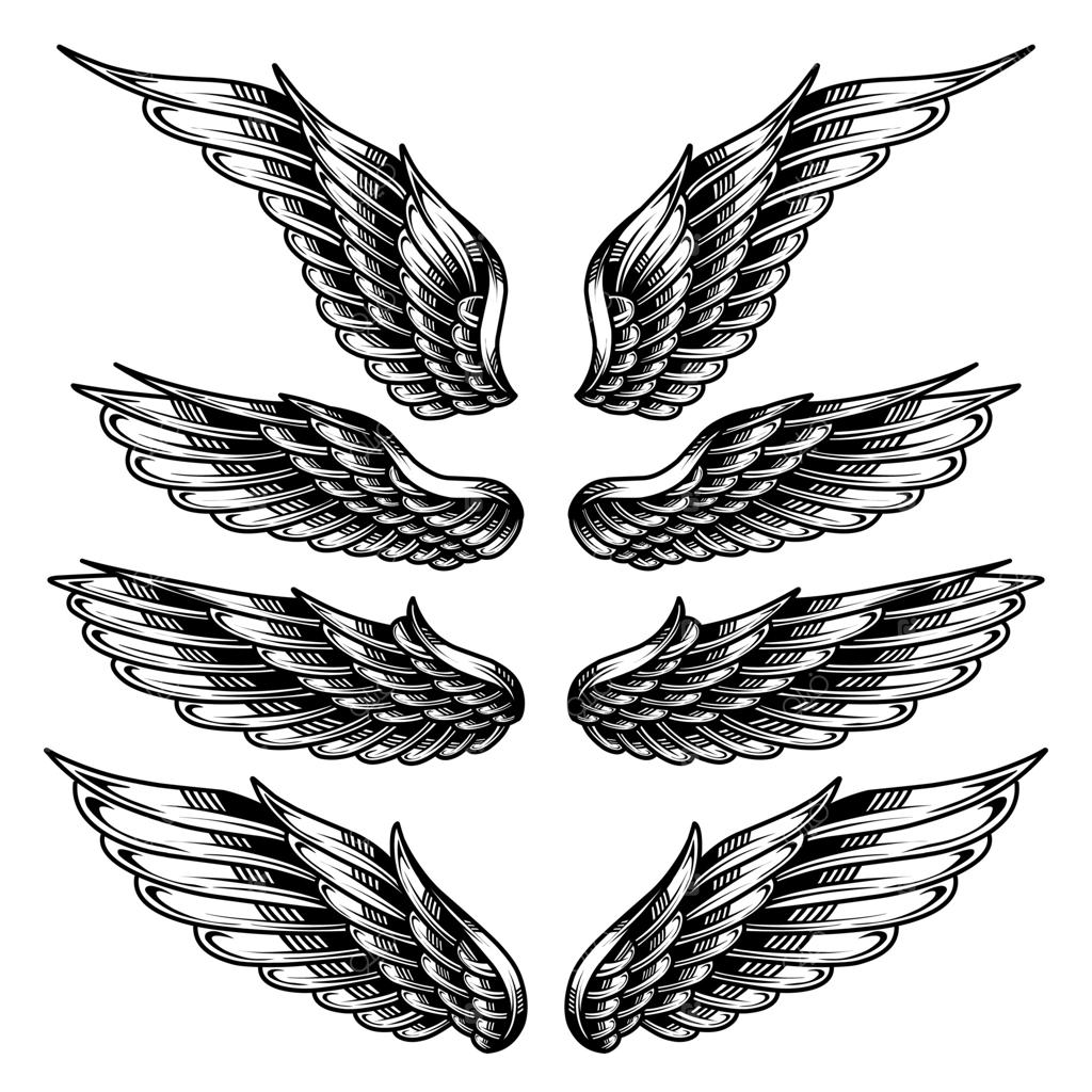 مجموعه وکتور طرح تاتو بال فرشته وینتیج